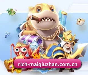 买球站的故事