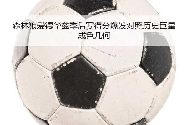 森林狼爱德华兹季后赛得分爆发对照历史巨星成色几何